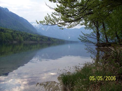 Lago di Bohinj